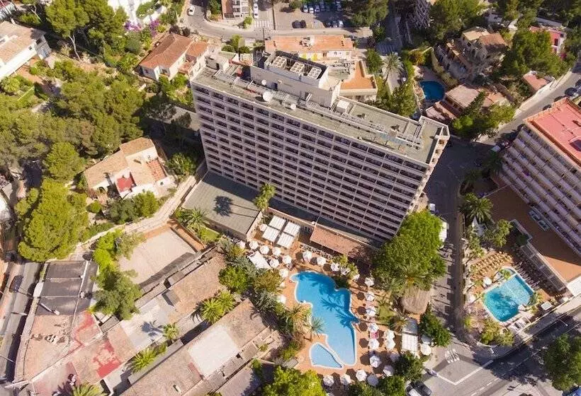 هتل Valentin Reina Paguera - Adults Only