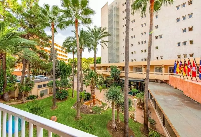 هتل Valentin Reina Paguera - Adults Only