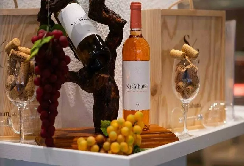 هتل Valentin Reina Paguera - Adults Only