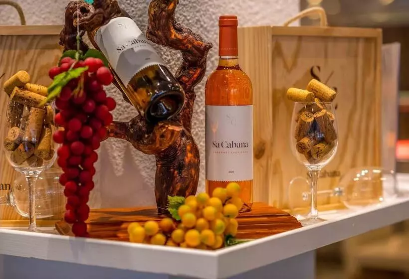 هتل Valentin Reina Paguera - Adults Only