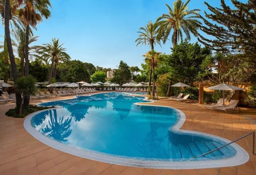 هتل Valentin Reina Paguera - Adults Only