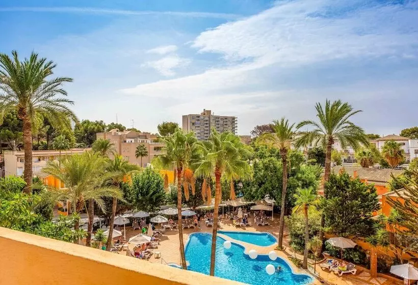 هتل Valentin Reina Paguera - Adults Only