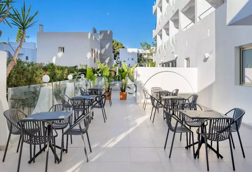 ホテル Vibra Palma Cactus