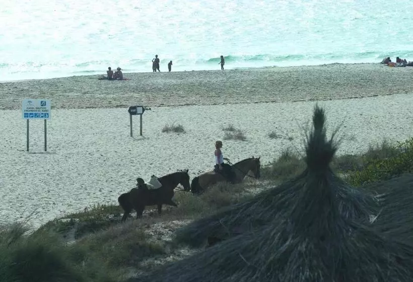 Beach Hotel Dos Mares