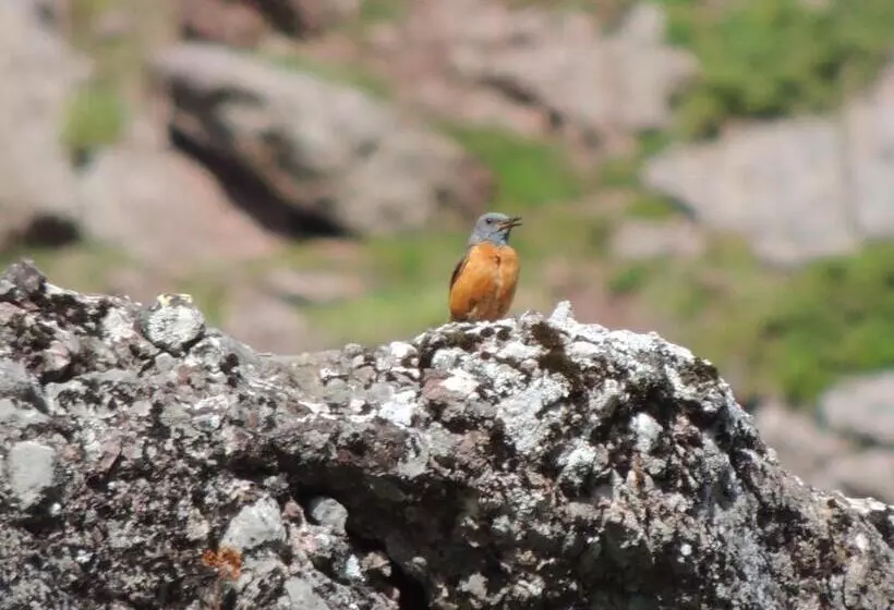 Отель De Montaña Uson