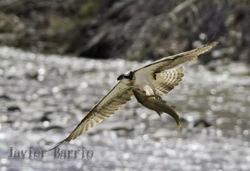 Отель De Montaña Uson