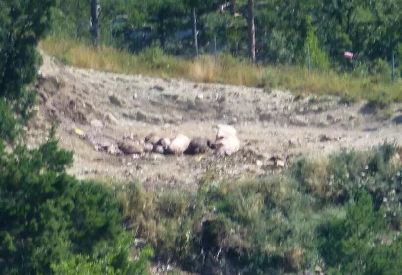 Отель De Montaña Uson