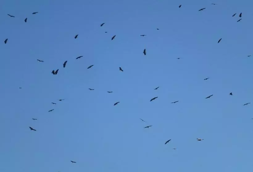 Отель De Montaña Uson