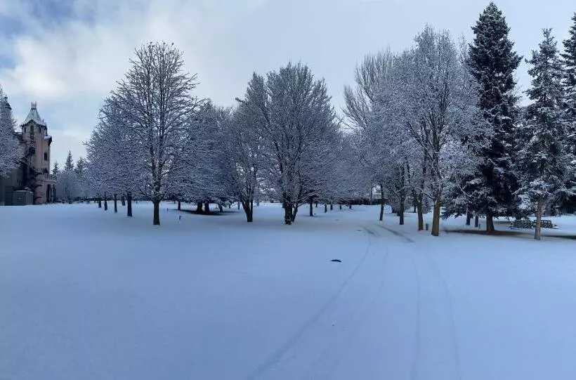 Hotel Torre Del Remei
