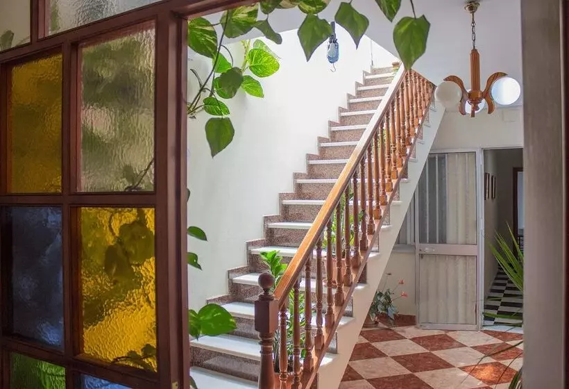 Hotel Pension Pinzapa