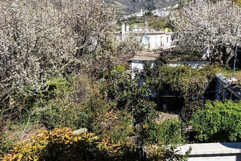 乡村酒店  Villa Turistica De Bubion