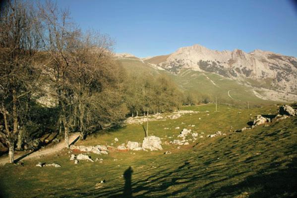 فندق Iraipe Santuario De Arantzazu