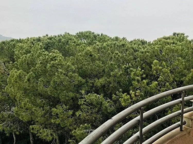 Hospedium Hotel Twist