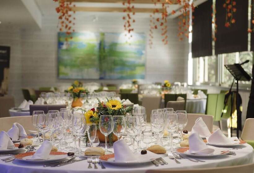 هتل Princesa Plaza Madrid