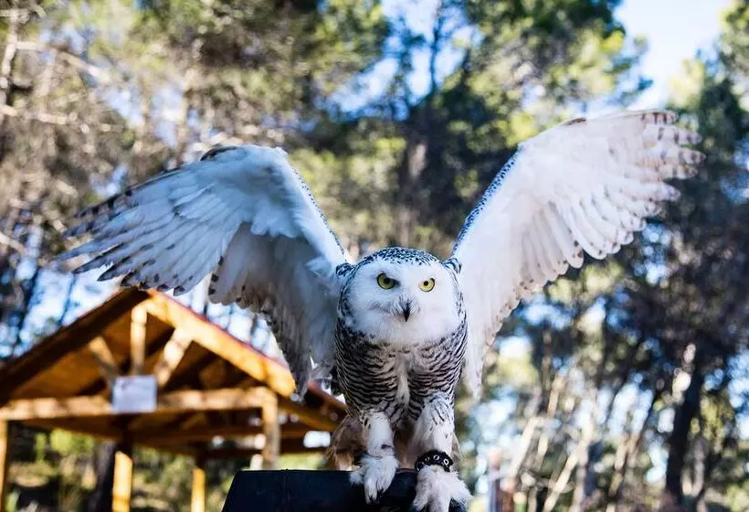 Hotel Rural Noguera De La Sierpe
