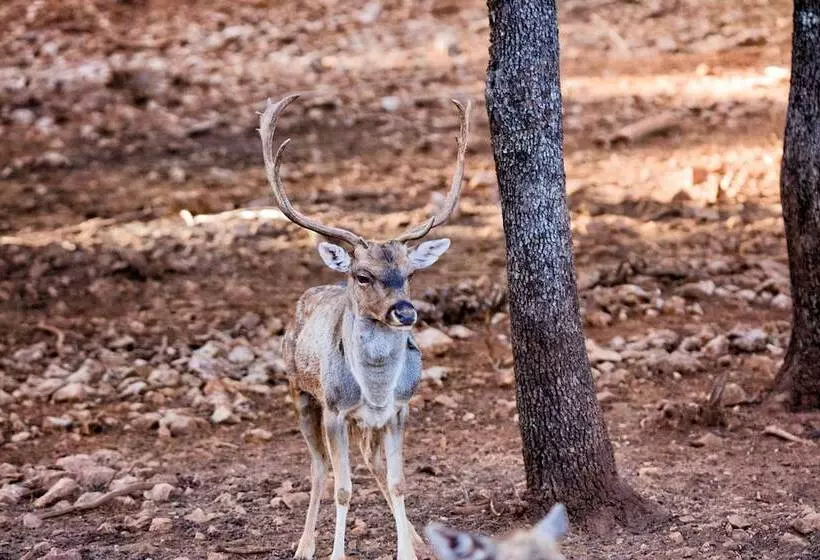 Hotel Rural Noguera De La Sierpe