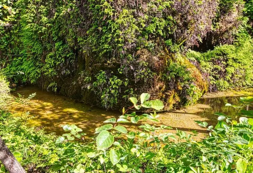 Hotel Rural Noguera De La Sierpe