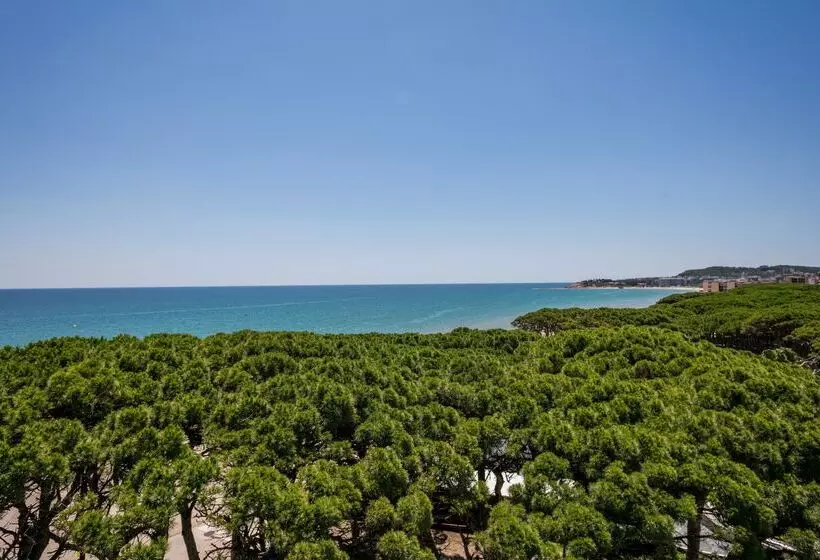 Отель Best Terramarina