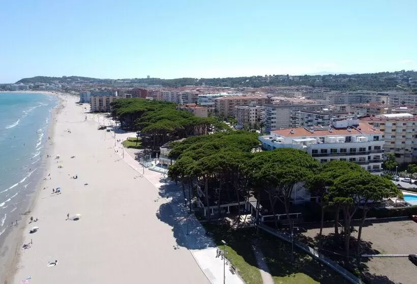 Отель Best Terramarina