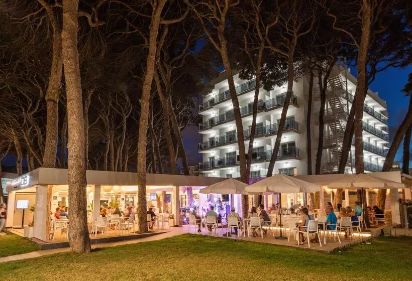 Отель Best Terramarina