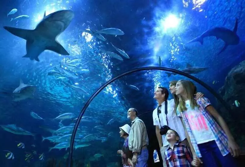 Hotel Botanico Y Oriental Spa Garden