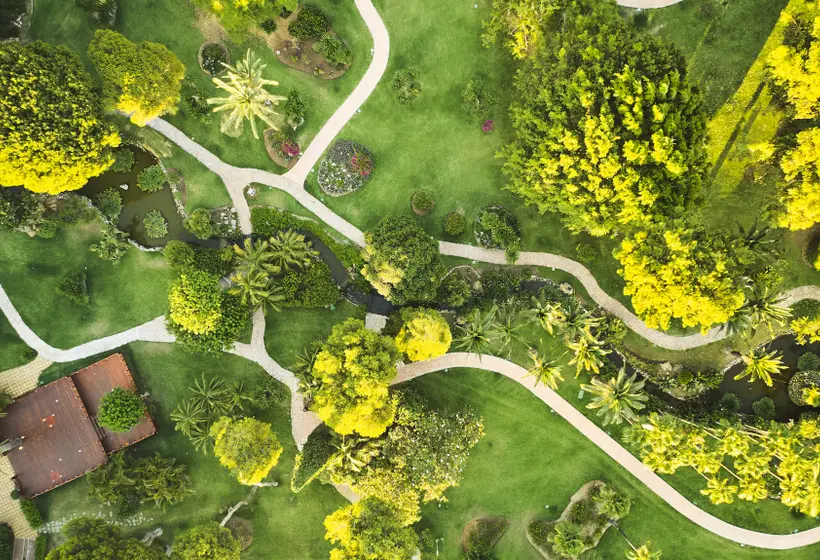 Hotel Don Carlos Marbella