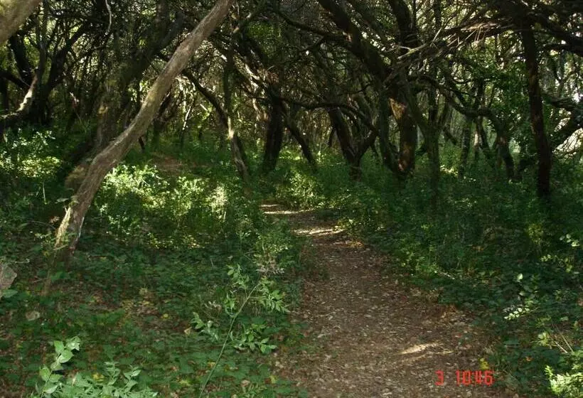 فندق Condado De Miranda