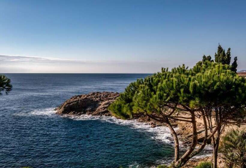 Eden Roc Hotel & Spa By Brava Hoteles