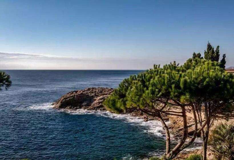 Eden Roc Hotel & Spa By Brava Hoteles