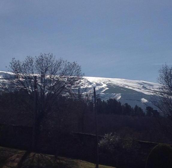 هتل Hostal Argentino