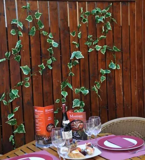 בית מלון כפרי Hostal Montsant