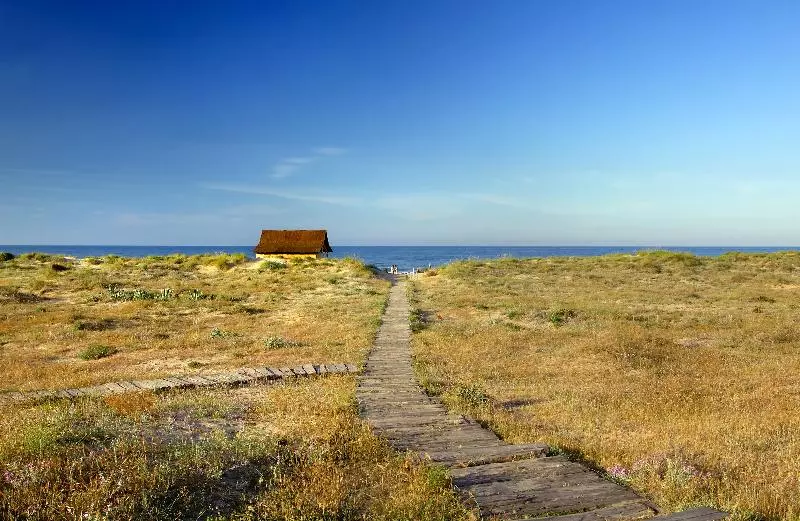 Отель Oliva Nova Beach & Golf