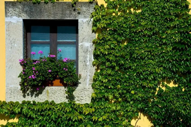 ホテル Palacio De Cutre