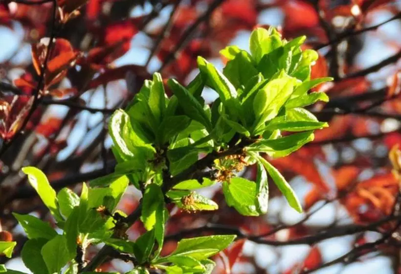 교외 호텔 Rural Santa Inés