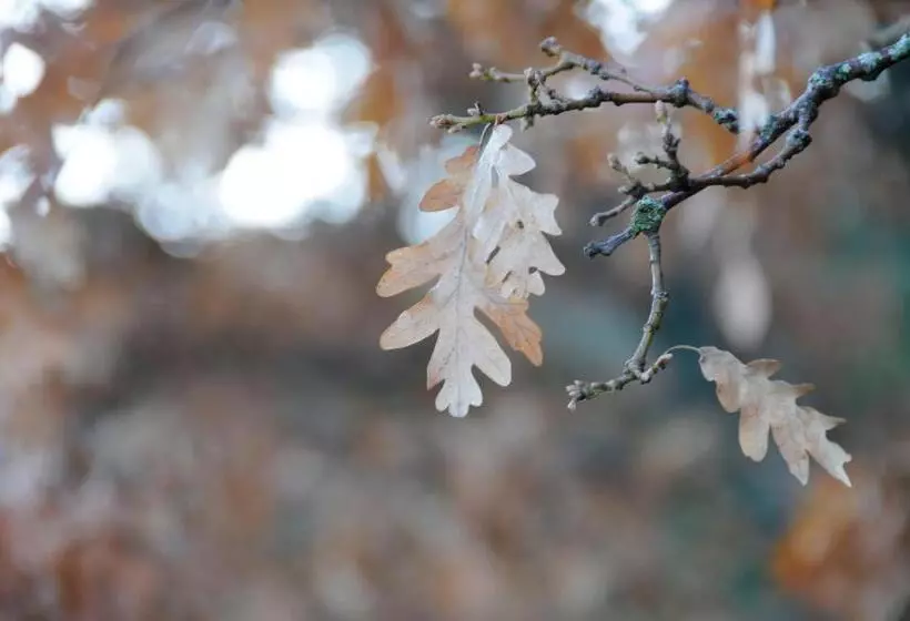 교외 호텔 Rural Santa Inés