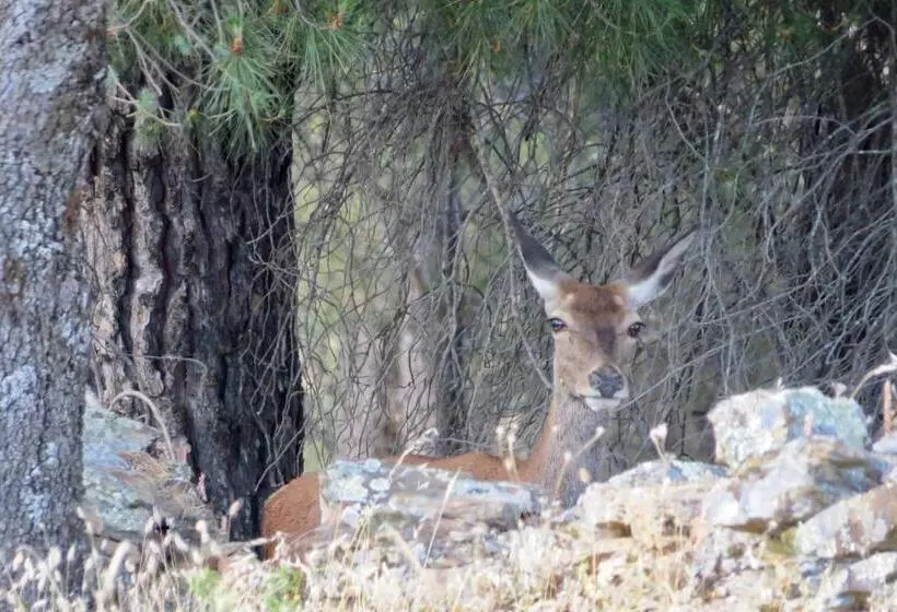 Отель Rural Eloy