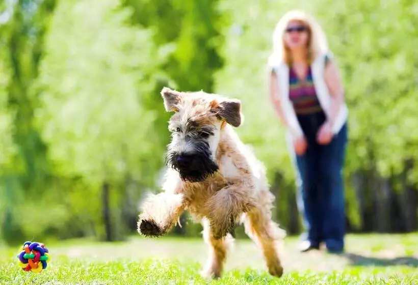 هتل Rural La Villa Don Quijote