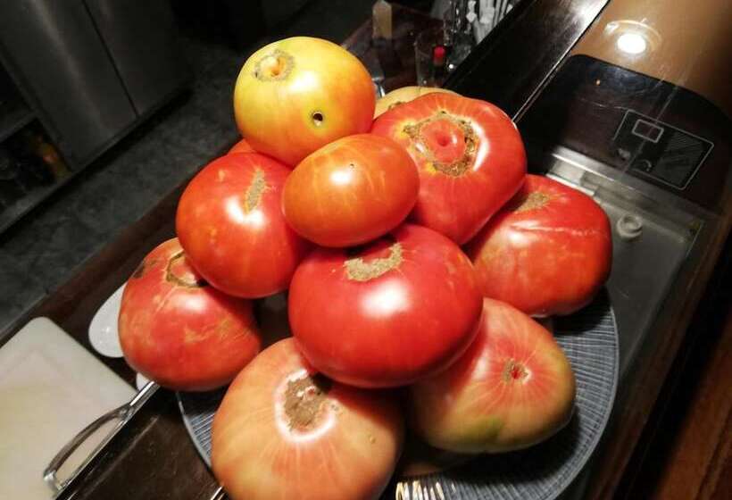 مسافرخانه Hosteria De Rafi