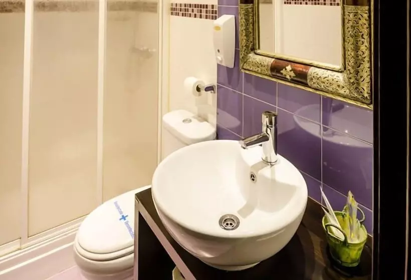 فندق فئة نجمة واحدة La Flor De Al Andalus