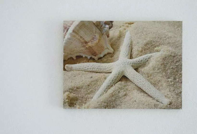 בית מלון כפרי Hostal Capri