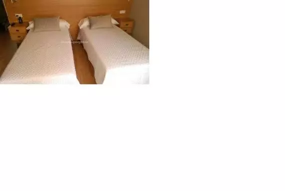 فندق Hostal Crisol