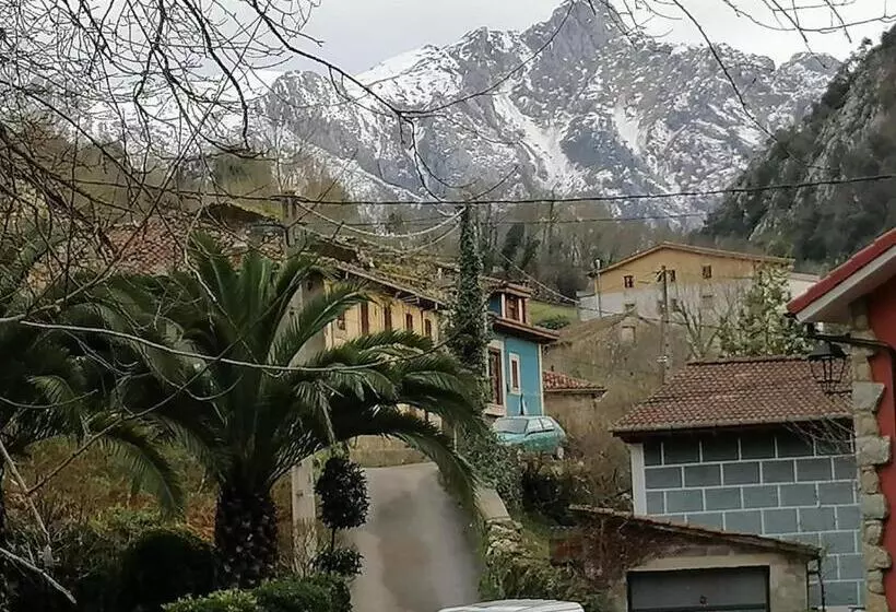 Отель Pensión Casa Corro