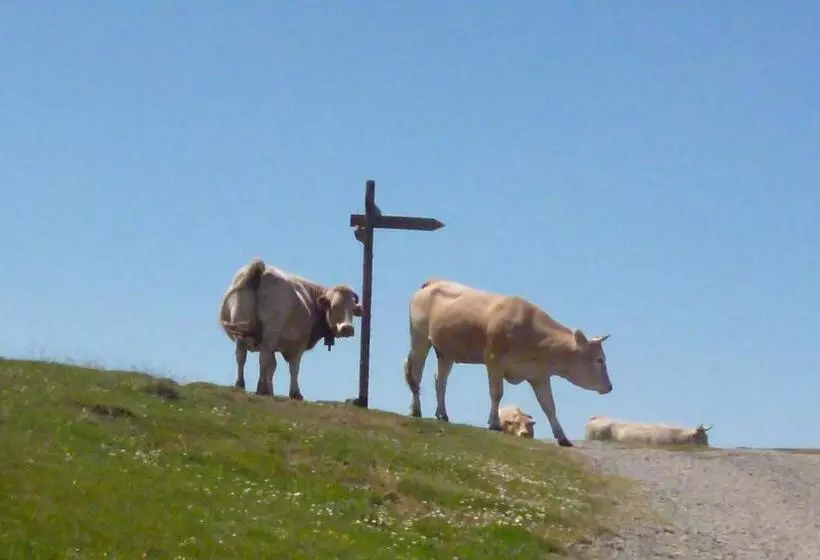 בית מלון כפרי Hostal Betelu