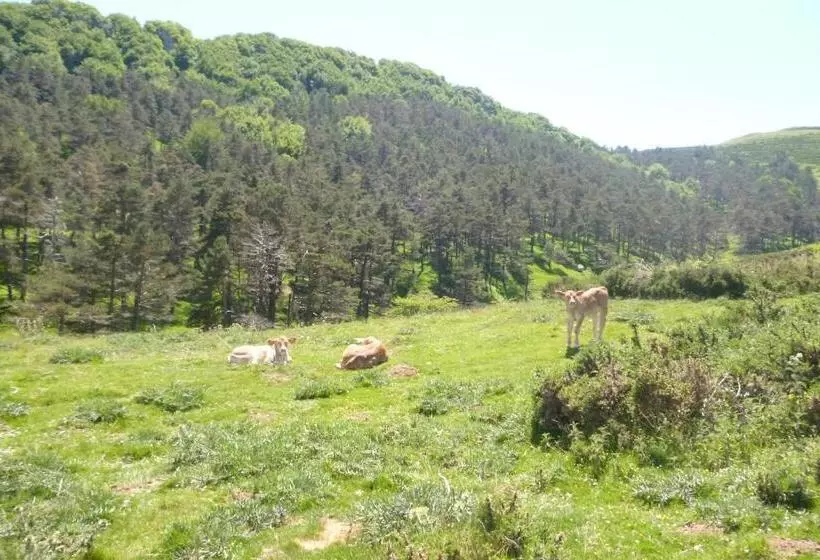 בית מלון כפרי Hostal Betelu