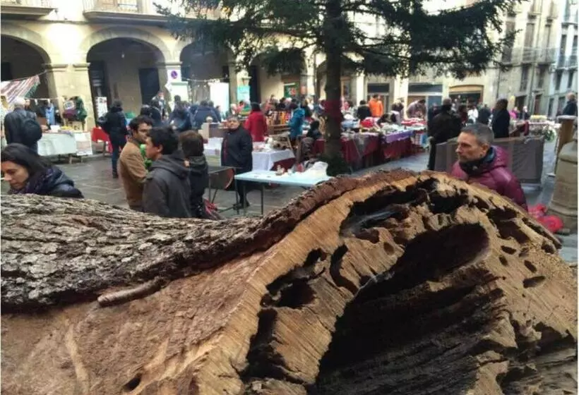 فندق Hostal Crisami