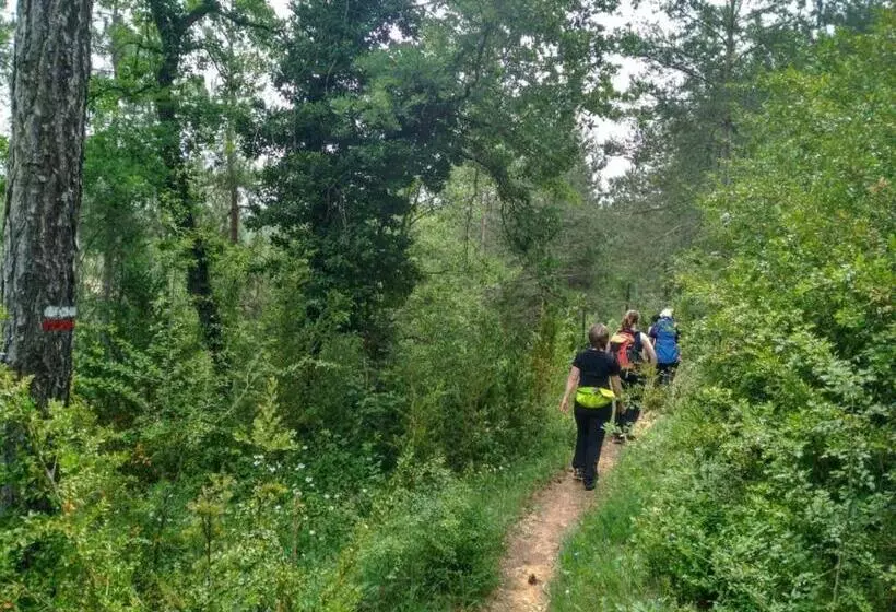 فندق Hostal Crisami