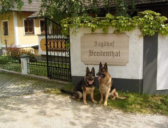 Alpenhotel Jagdhof Breitenthal