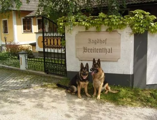 Alpenhotel Jagdhof Breitenthal