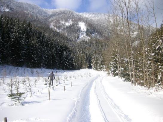 Alpenhotel Jagdhof Breitenthal