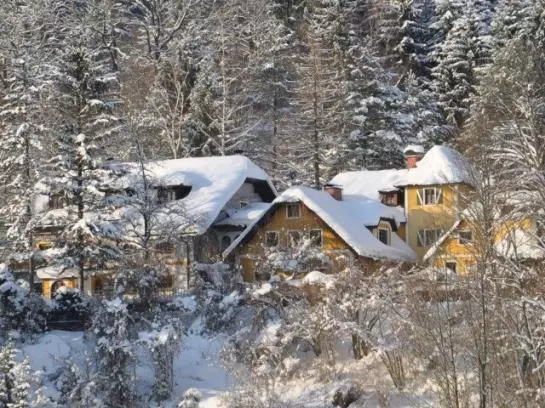 Alpenhotel Jagdhof Breitenthal